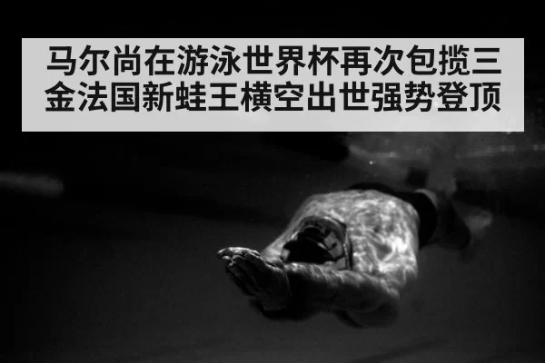 马尔尚在游泳世界杯再次包揽三金法国新蛙王横空出世强势登顶