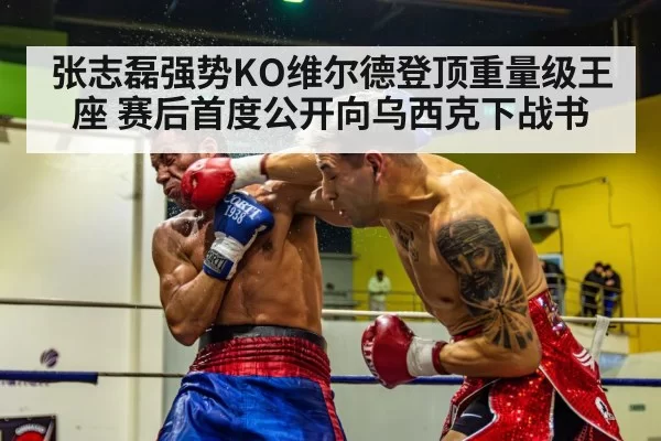 张志磊强势KO维尔德登顶重量级王座 赛后首度公开向乌西克下战书